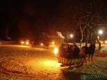 Bats Cave, Horse Sleigh Ride and Mulled Wine Trip