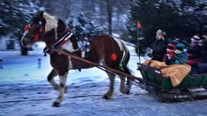Bats Cave, Horse Sleigh Ride and Mulled Wine Trip