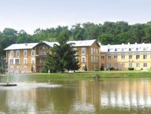 Boże Narodzenie 2020 Nałęczów Sanatorium KSIĄŻĘ JÓZEF