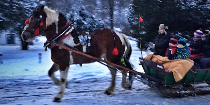 Kulig w Ojcowie